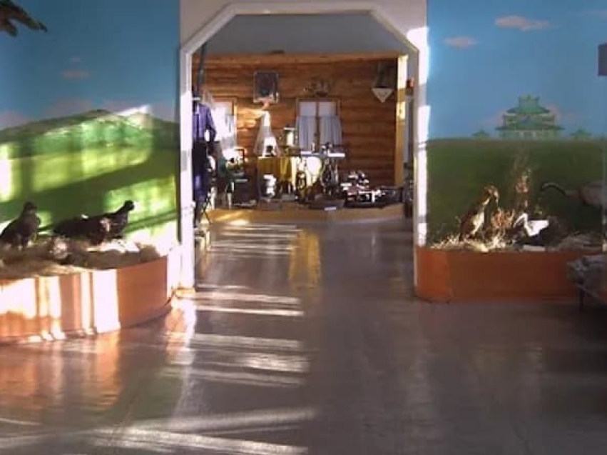 Финансирование расходов на капитальный ремонт Борзинского районного краеведческого музея в рамках нацпроекта «Культура»
